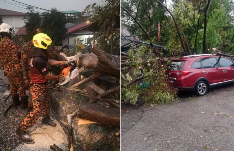 Banjir kilat, pokok tumbang di Gombak