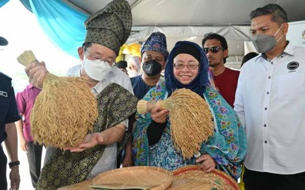 Pesta padi bakal jadi tarikan pelancongan baharu negara