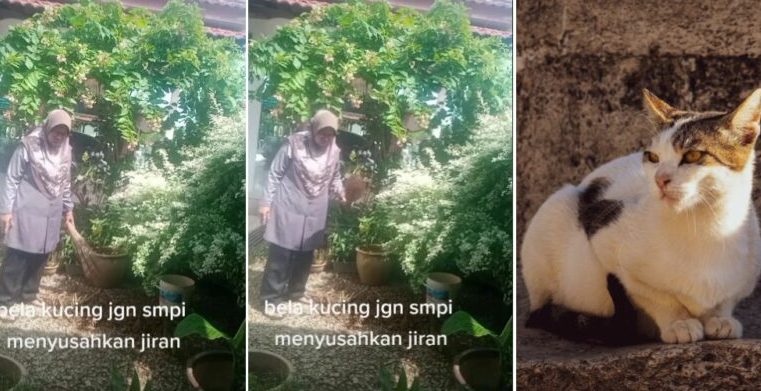 ‘Bela tapi susahkan jiran’ – Wanita geram, hempas penyapu lepas jumpa 3 longgok najis kucing