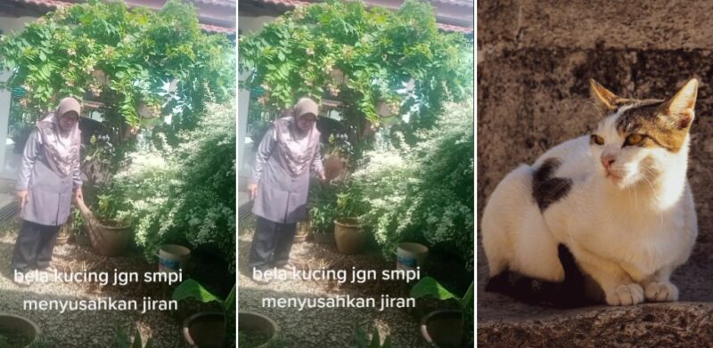 ‘Bela tapi susahkan jiran’ – Wanita geram, hempas penyapu lepas jumpa 3 longgok najis kucing