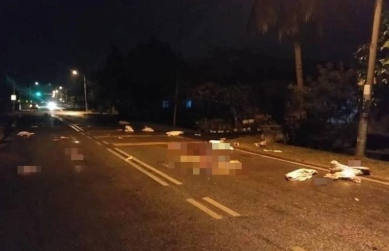 Sisa daging babi bertaburan atas jalan untuk dilupuskan