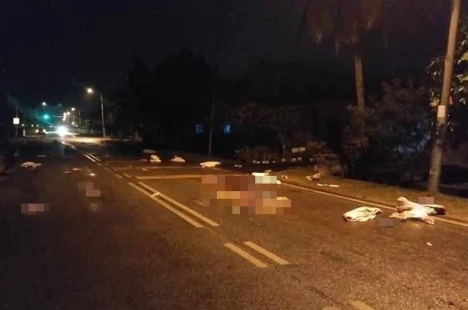 Sisa daging babi bertaburan atas jalan untuk dilupuskan