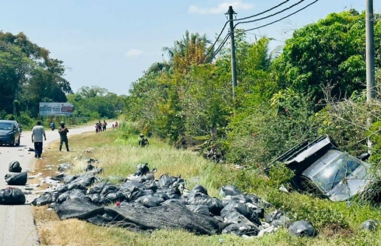 Kenderaan terbabas, dua lelaki bawa daun ketum ditahan