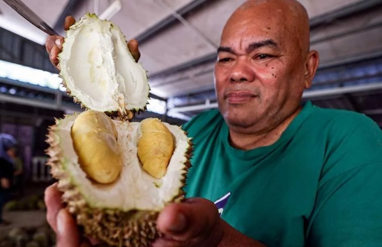 Durian Pak Yas ‘lubuk’ peminat raja buah