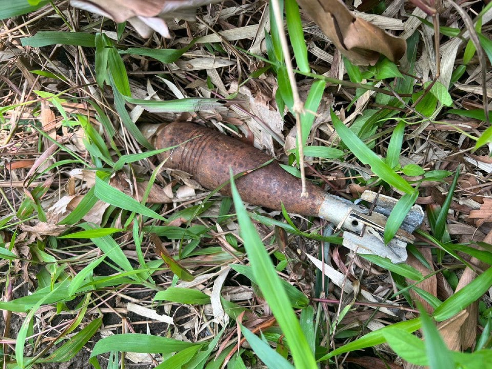Buluh rebung dicari, bom mortar ditemui