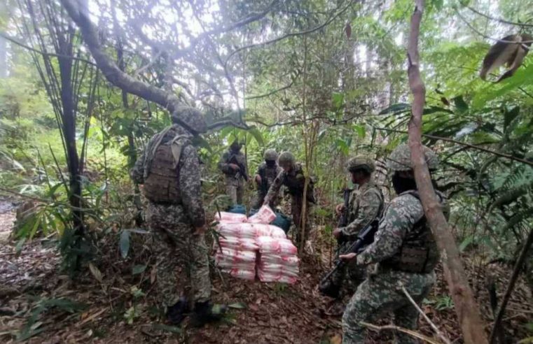 ‘Transit’ gula, diesel dalam hutan sebelum seludup ke negara jiran